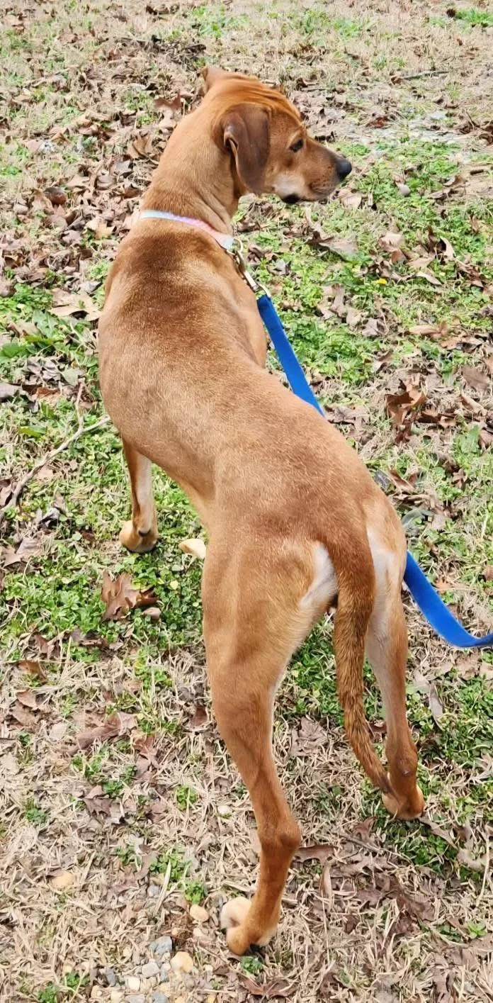 Lady Urgent thumbnail 3