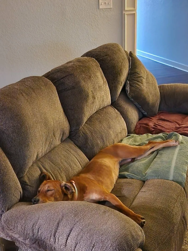 Lady Urgent thumbnail 4