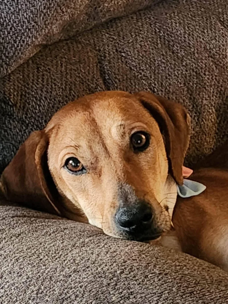 Lady Urgent thumbnail 5