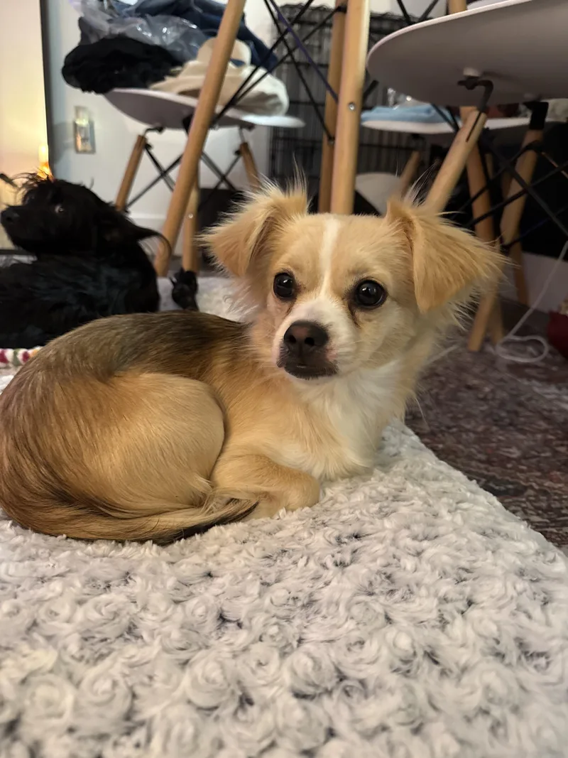 Maggie