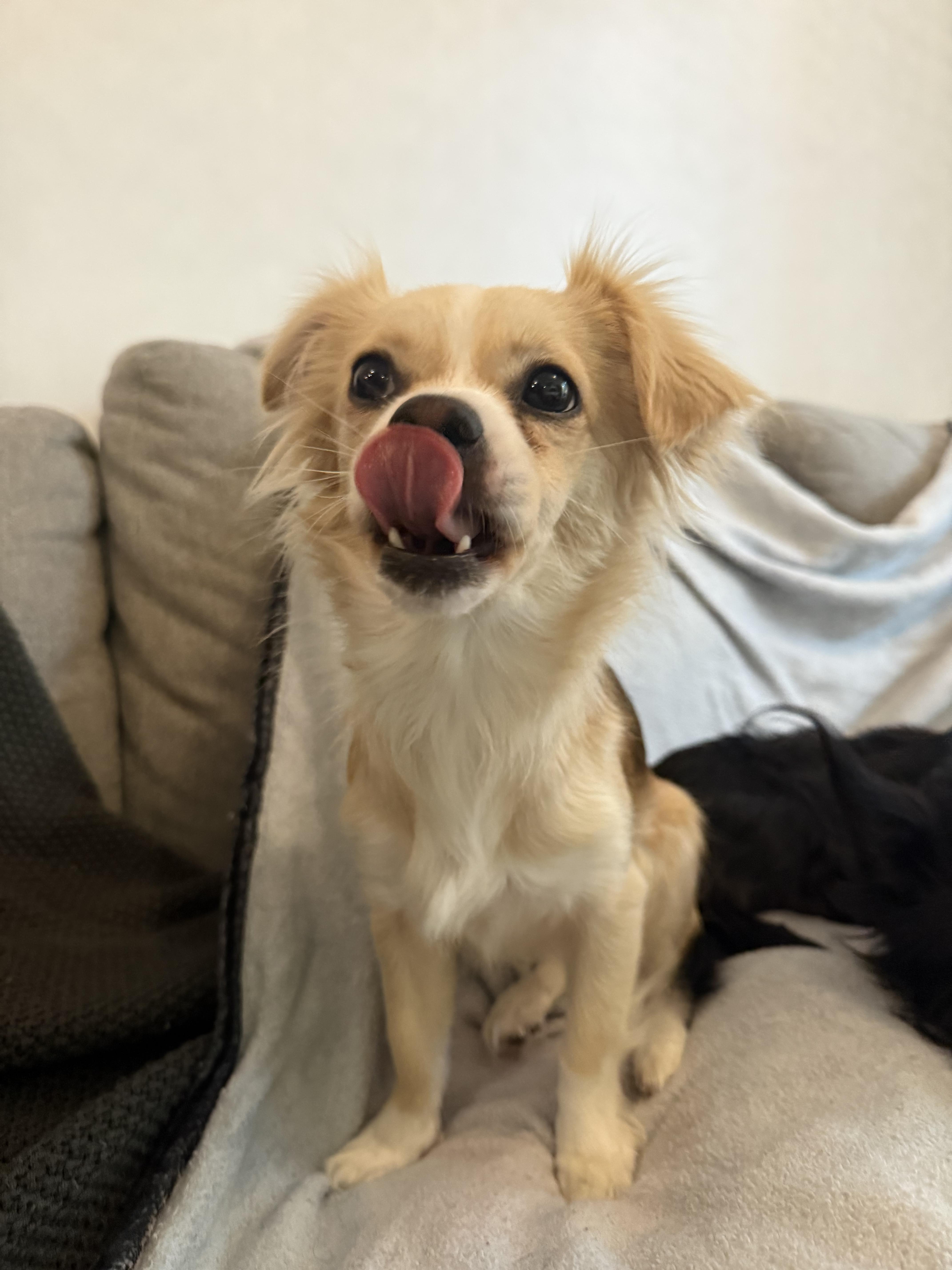 Maggie thumbnail 2