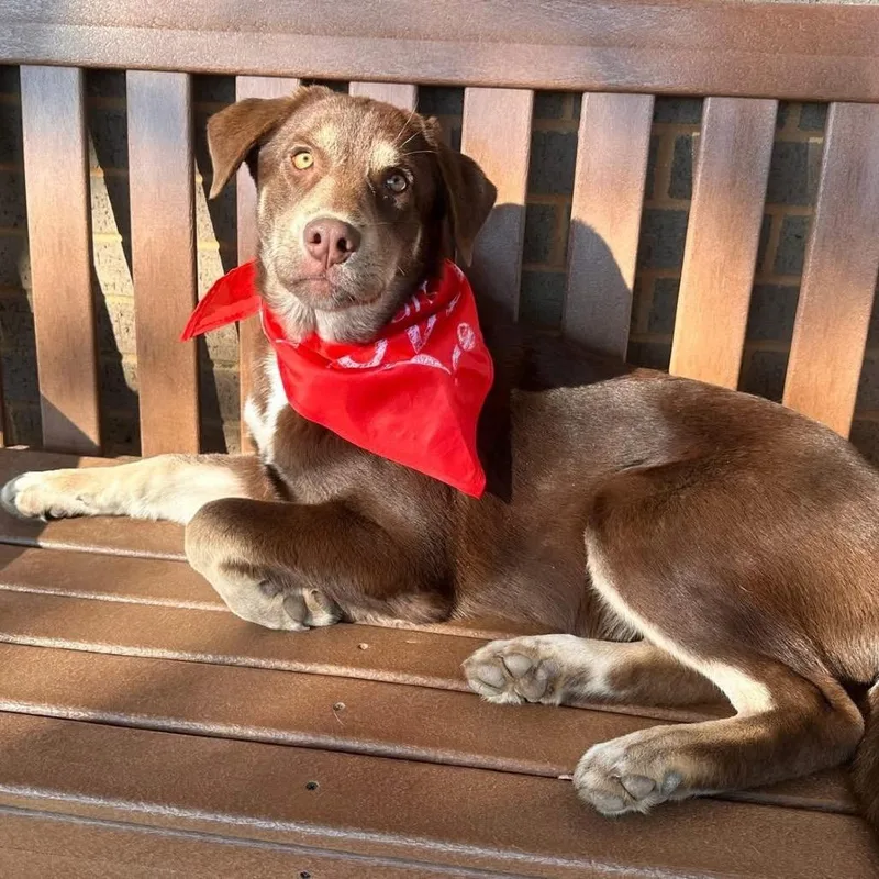 Rifty Roo thumbnail 3