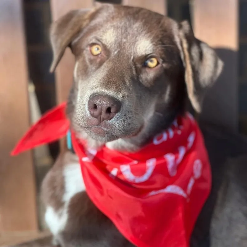 Rifty Roo thumbnail 4