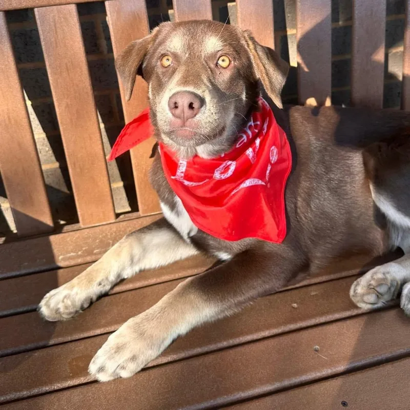 Rifty Roo thumbnail 5