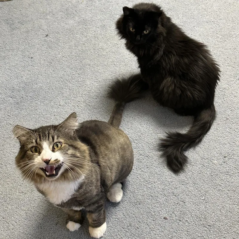 Bobby & Piper  thumbnail 2