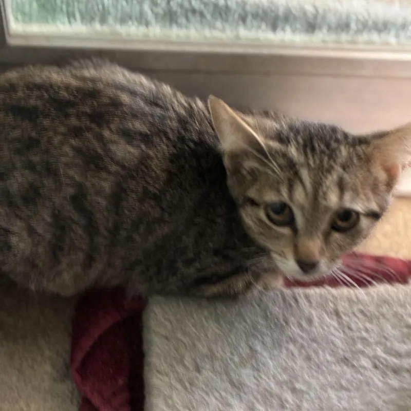 Mr. Green thumbnail 2