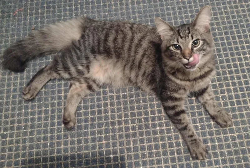 Twilight thumbnail 3