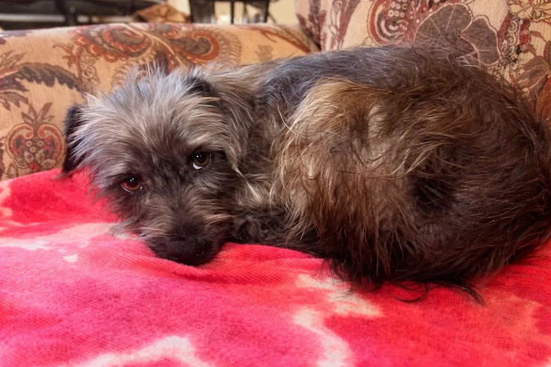 Emberlyn thumbnail 2