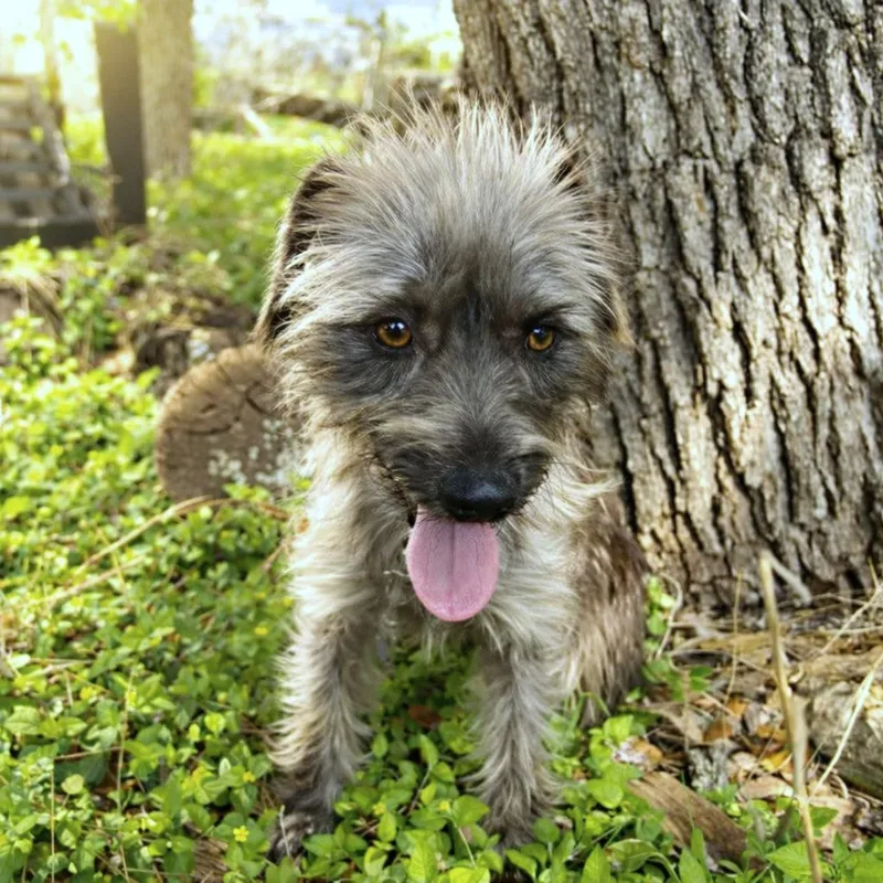 Emberlyn thumbnail 3