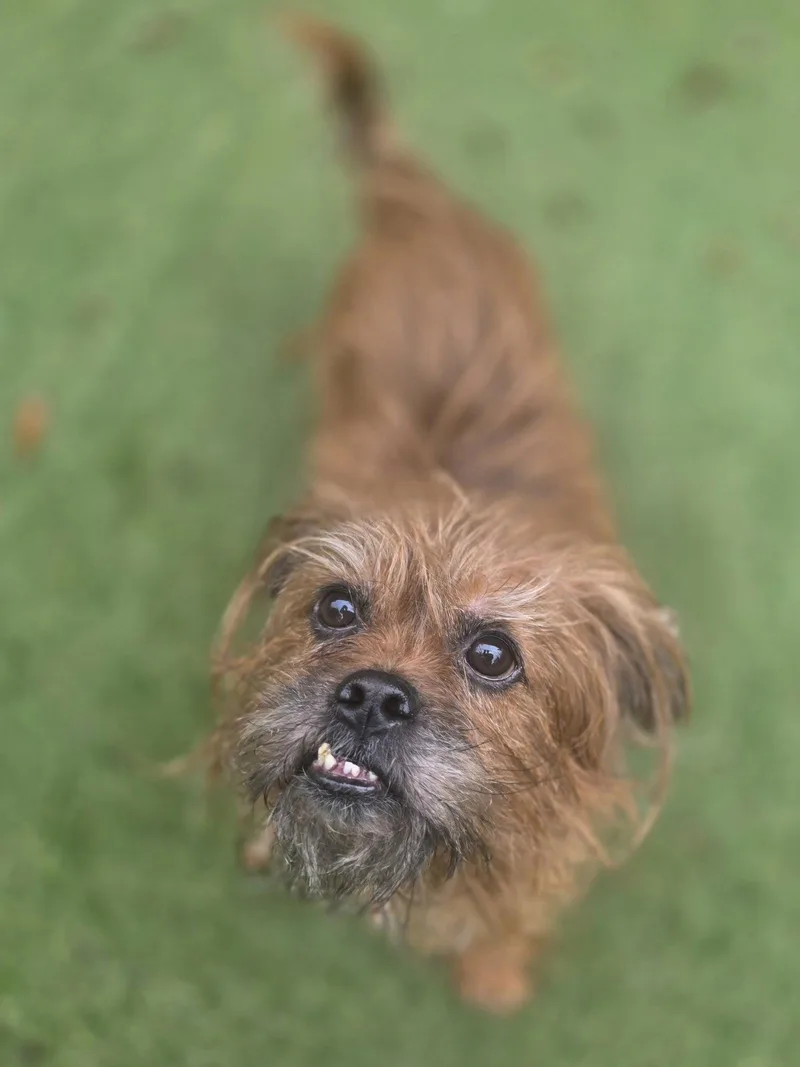 Just Joey thumbnail 3