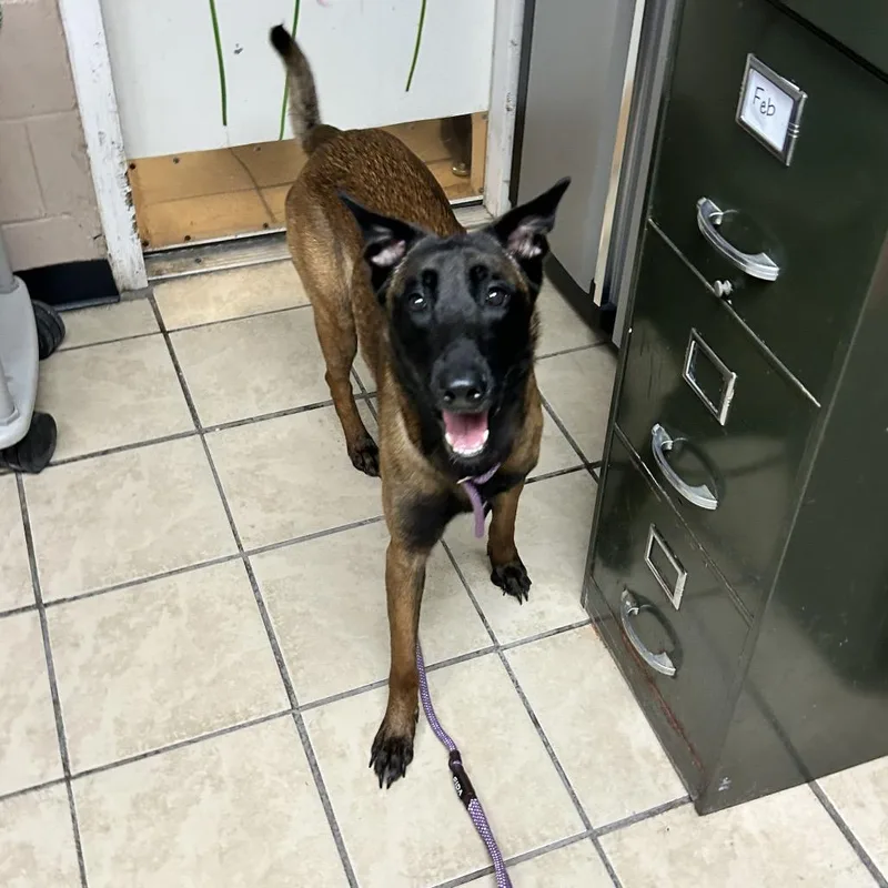 Nova Scotia thumbnail 2