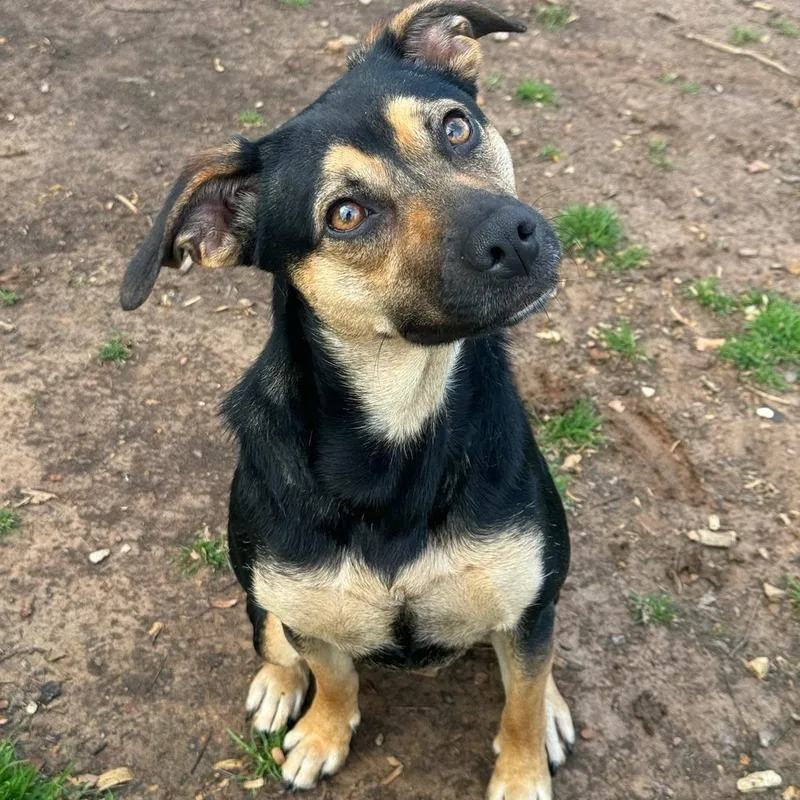 Paige: Ready For The