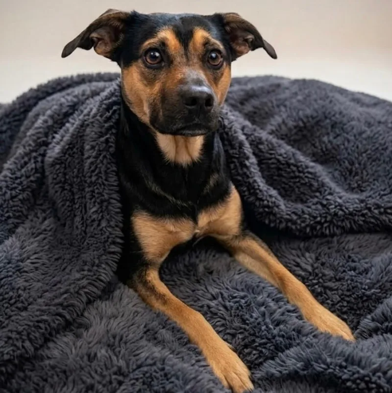 Paige: Ready For The thumbnail 3