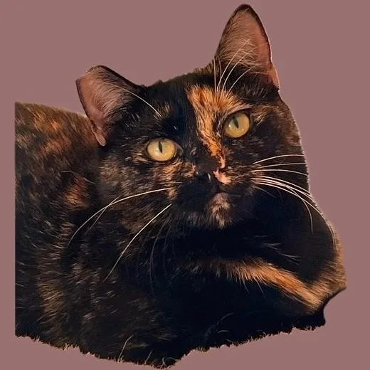 Ella