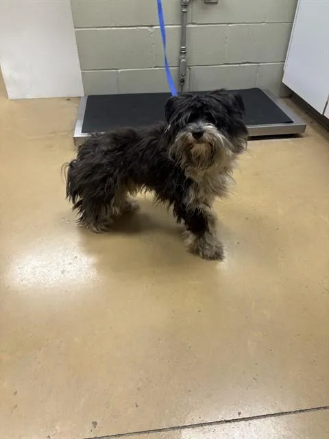 Ernie