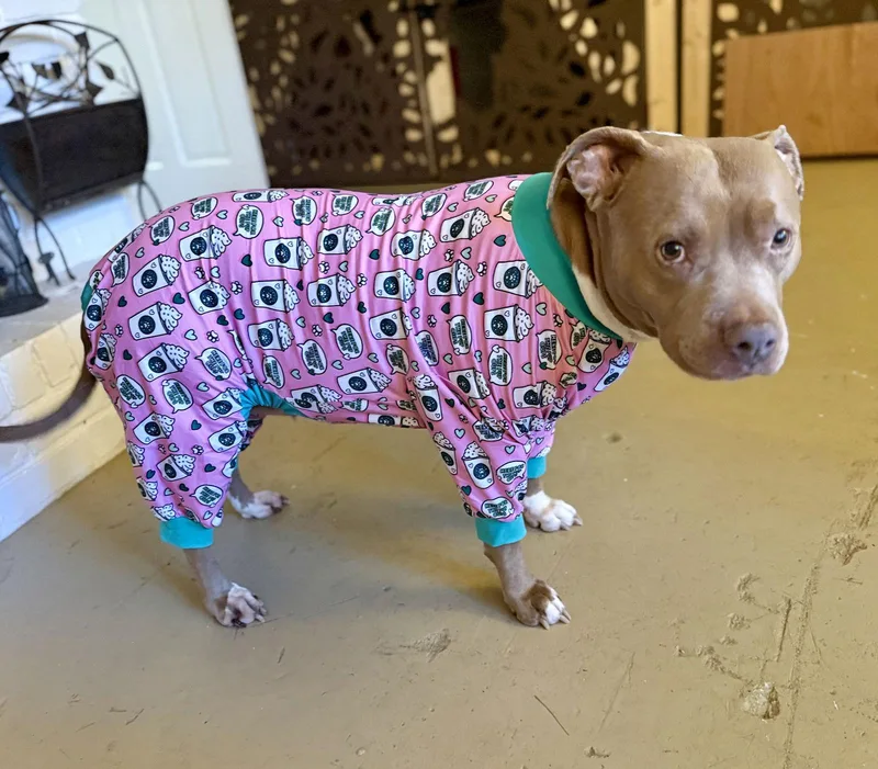 Bellamy Marie thumbnail 2