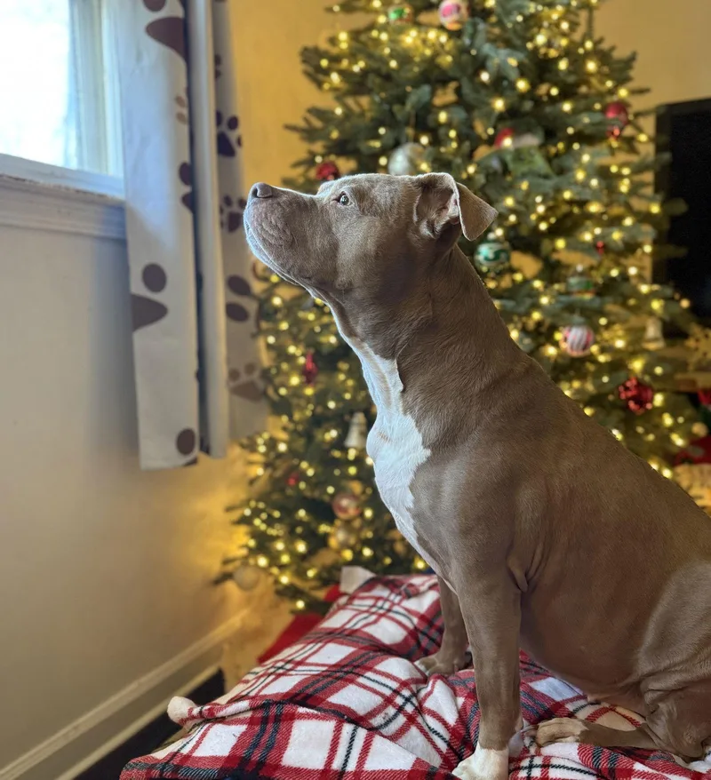 Bellamy Marie thumbnail 3