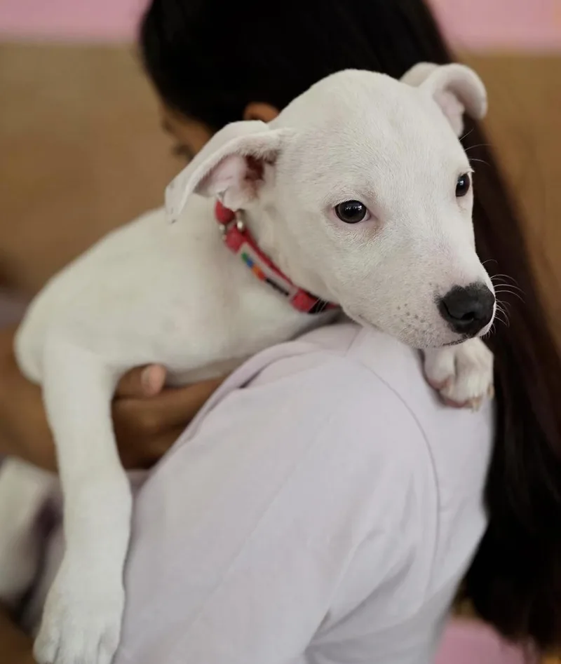 Darla thumbnail 6