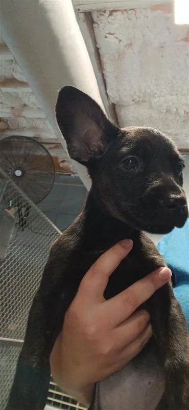 Jan