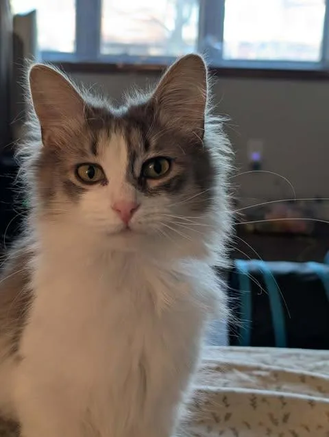 Duke And Daisy thumbnail 3