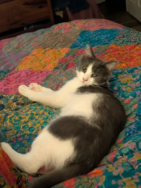 Duke And Daisy thumbnail 4