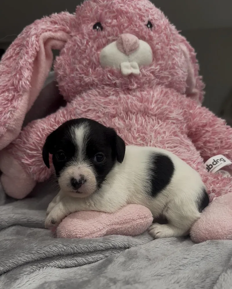 Raindrop thumbnail 3