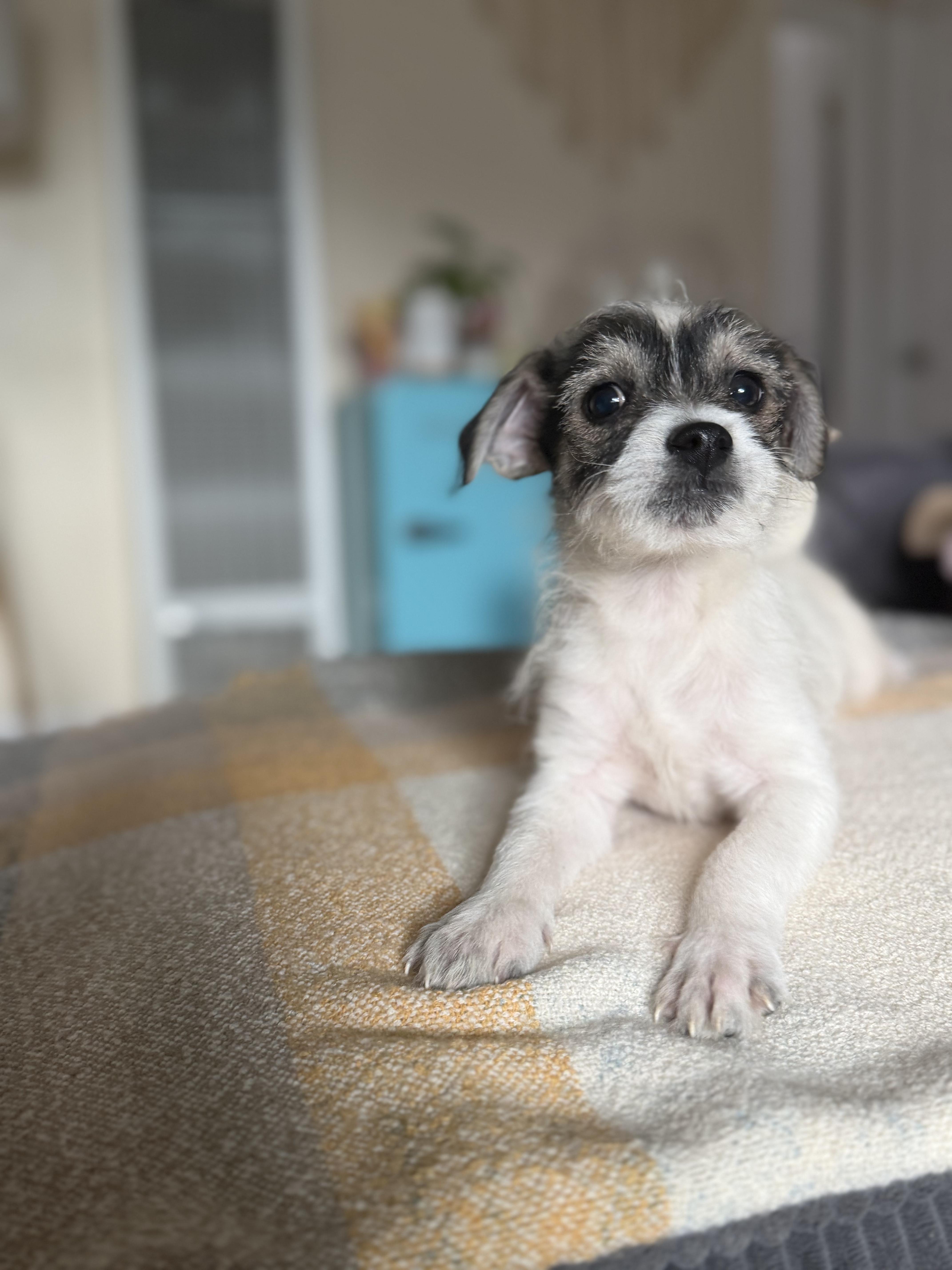 Karen thumbnail 4