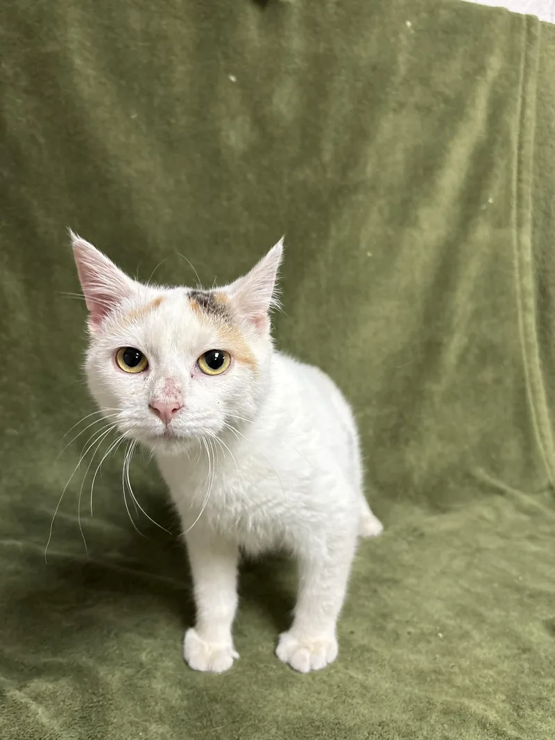 Maryland thumbnail 2