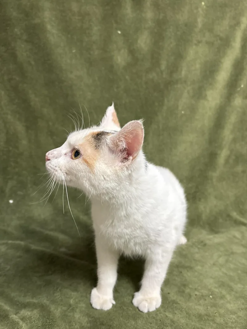 Maryland thumbnail 3