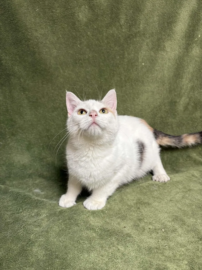 Maryland thumbnail 4