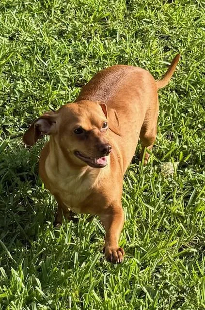 Brooklyn thumbnail 2