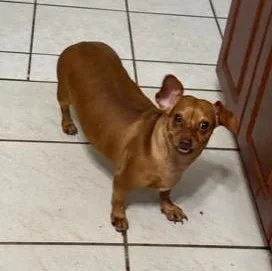 Brooklyn thumbnail 4