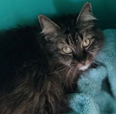 Noni Center thumbnail 2