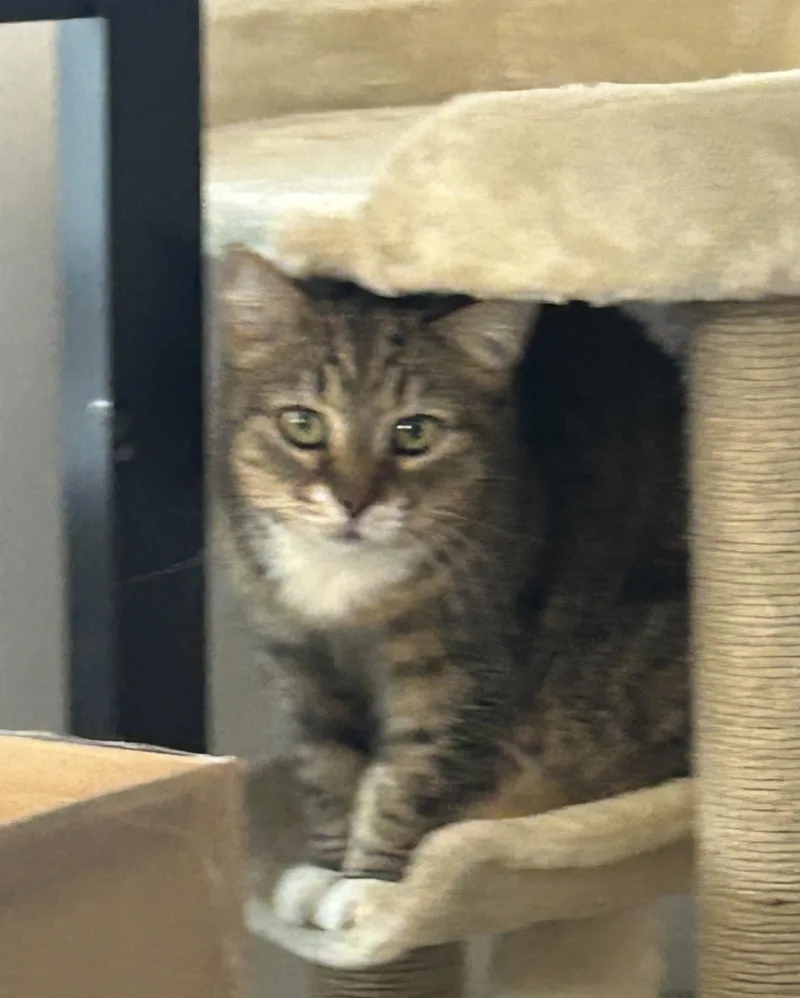 Ellie Mae thumbnail 5