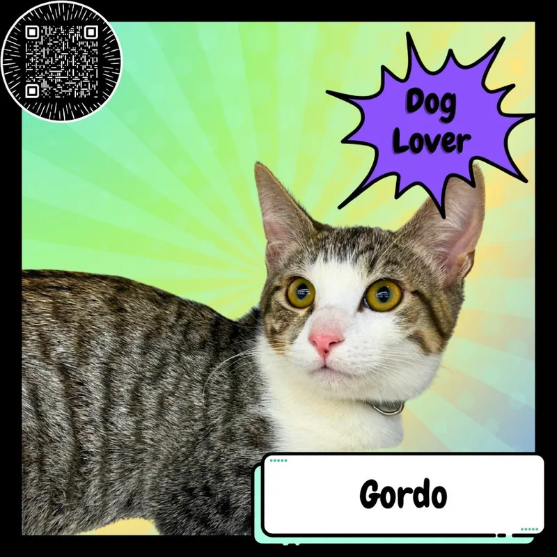 Gordo  The Elephant thumbnail 6