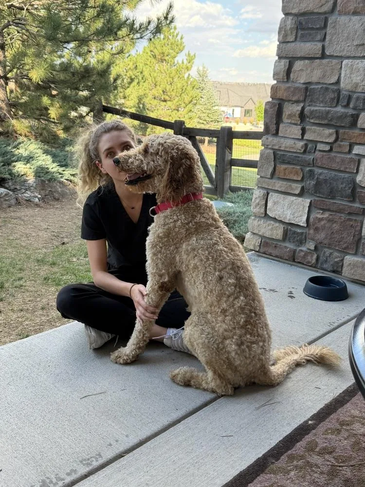 Snickers thumbnail 6