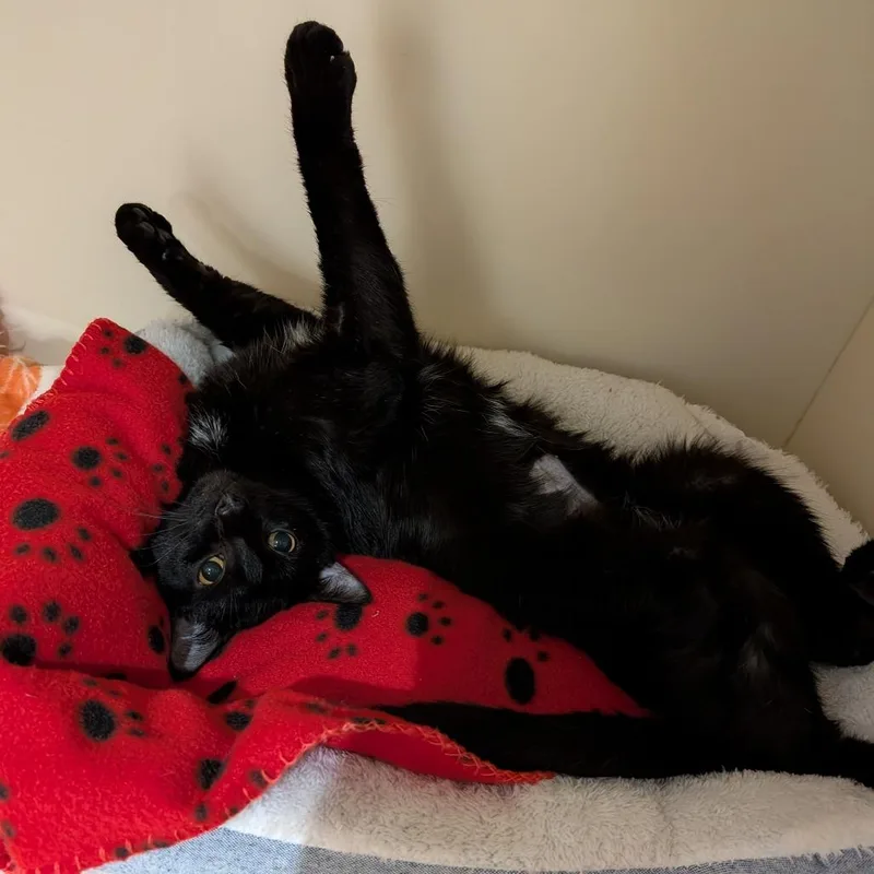 Thursday thumbnail 3