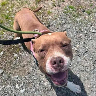 Jada in Maine thumbnail 4