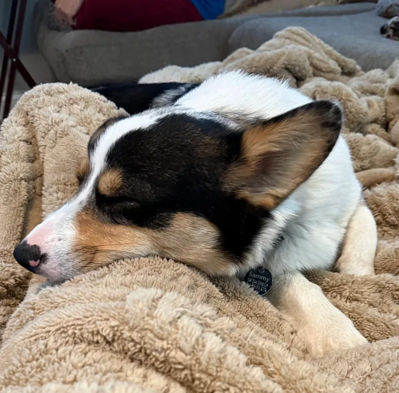 Sam