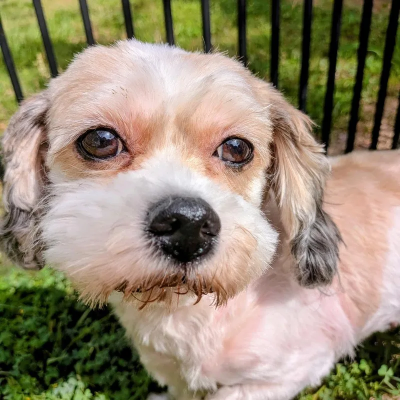 Stormy Sea thumbnail 2