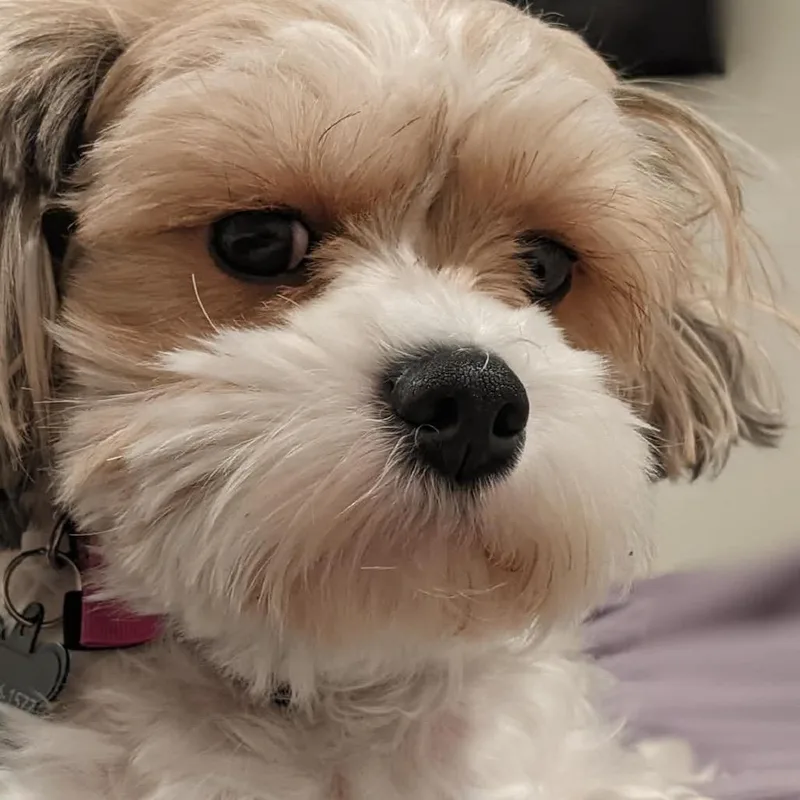 Stormy Sea thumbnail 3