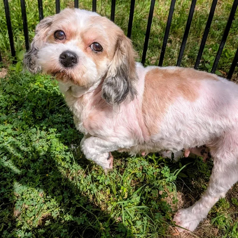 Stormy Sea thumbnail 4