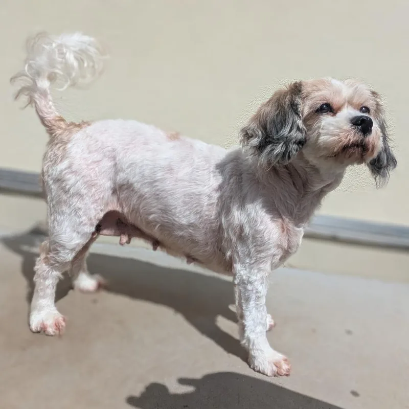 Stormy Sea thumbnail 5