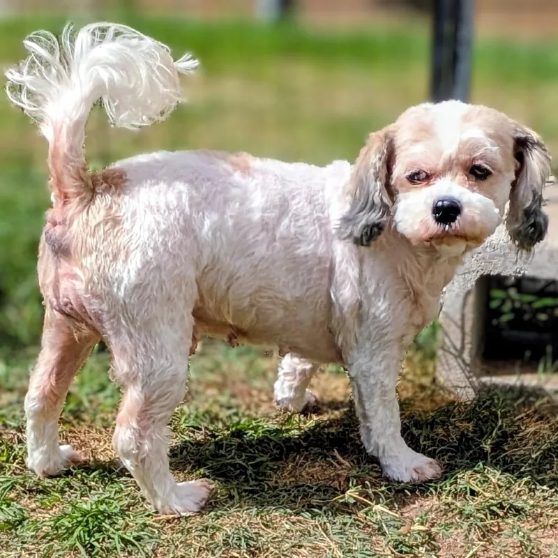 Stormy Sea thumbnail 6