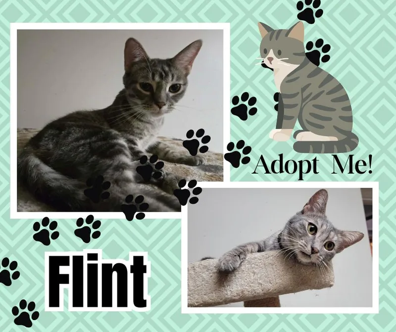 Flint