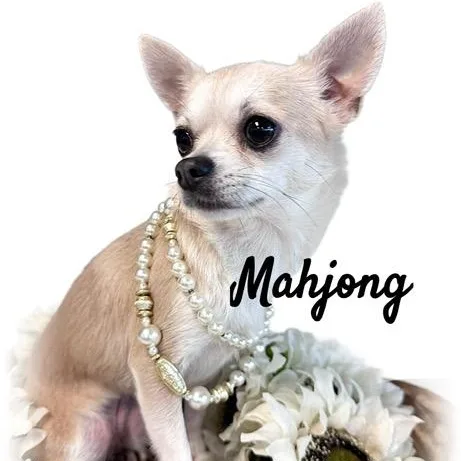 Mahjong thumbnail 3