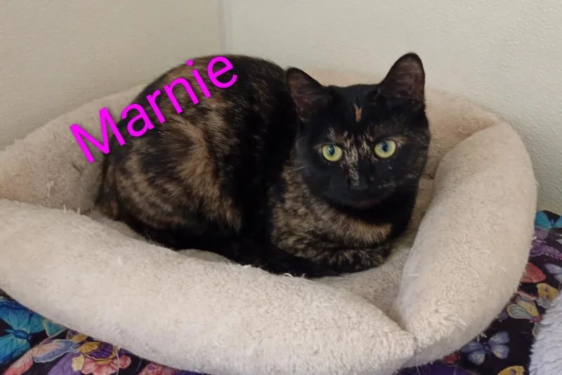 Marnie
