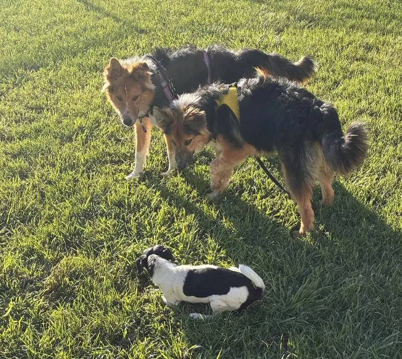 Brothers Ricky & Morty thumbnail 2