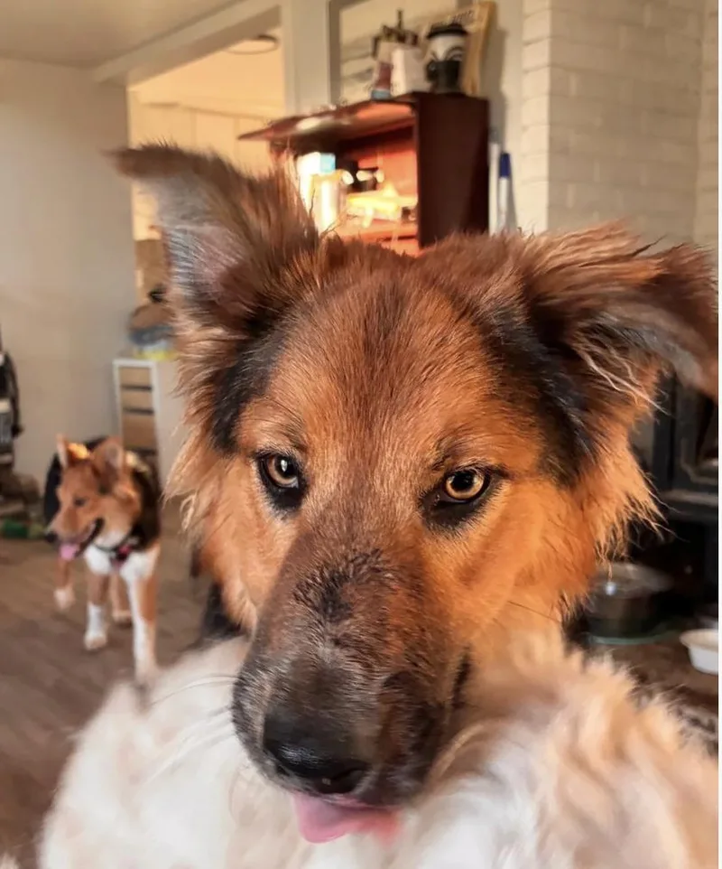 Brothers Ricky & Morty thumbnail 5