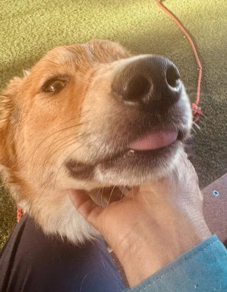 Brothers Ricky & Morty thumbnail 6